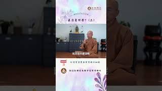 禪修冥想中提到的正念是什麼? （三）| 歡迎線下來菩提禪苑免費學習冥想| What is meditation? Learn meditation #meditation