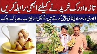 GINGER  Buying Guide | Dawri Farms Rawalpindi