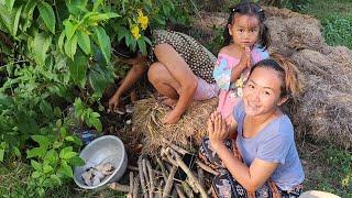 เห็ดฟางออกเยอะเลย บ้านสายป่าน