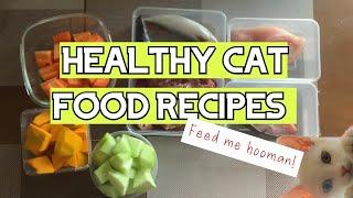 Healthy Homemade Cat Food Recipes