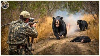 How Do Hunters and Farmers Deal with Millions of Feral Hogs, Black Bears, Hippos and Geese by Guns?