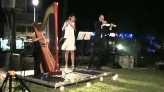 HARP TRIO