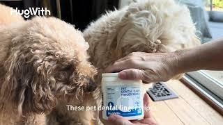 Effortless Pet Dental Care: HugWith Dental Finger Wipes for Healthy Teeth & Fresh Breath