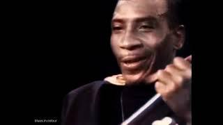 T Bone Walker - live [Colourised] 1968