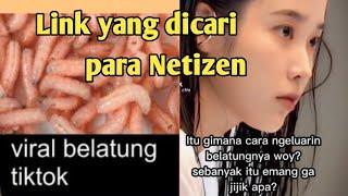 Link video viral belatung di tiktok