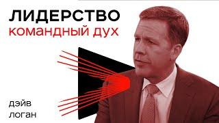 Как Навсегда Сплотить Команду? - Эмоциональное Управление от Дейва Логана / Интервью