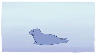 Fluffy Seal Animation