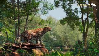 Realistic Leopard 3D Animation by Prasad Hublikar