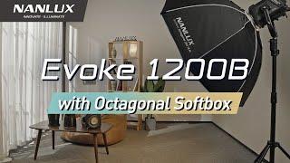 Evoke 1200B with Octagonal Softbox