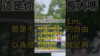 256 這是你期盼的長大嗎 吉他譜