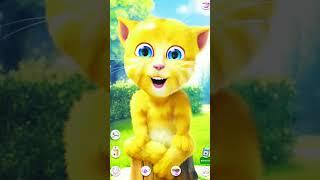 papa mama  #funnyvideo #talkingtom  #short #shortvideo