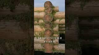 СКОЛЬКО ЖЕ СТОИТ СРУБ?? #сруб #цена #деревянныйдом
