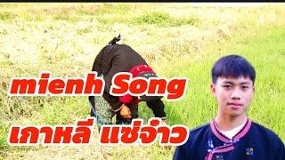 [Mienh Song]อ๋อยปุนมาหลง-เกาหลี แซ่จ๋าว-official mv