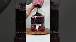 SIMPLE AND DELICIOUS BLUEBERRY MEAD TUTORIAL