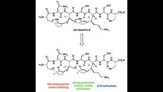 Atroposelective Total Synthesis of the Macrocyclic Antibiotic Darobactin A (Baran Group)