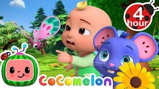 Catch The Butterfly Song (Can JJ Catch Them All?) | Cocomelon - Nursery Rhymes | Cartoons For Kids