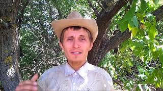Почему мы вымираем? Русский крест и жизнь в деревне.