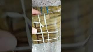 Yummy suman #asmr #short #shortvideo #viral #shorts #sound #food #suman