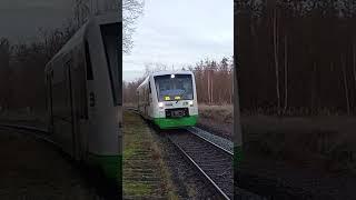BR 650 Erfurter Bahn Trainspotting in Deuben(Zeitz) #trainspotting #train #real #br650
