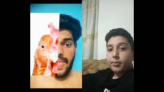 @Mrpc2.0 #funny #animals #tiktokfilters #comedy #reaction #duet