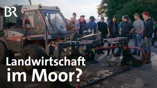 Landwirtschaft auf nassen Moorwiesen? Zwischen Spezialmaschinen und robusten Rinden | UNKRAUT | BR