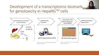 Advancing In Vitro Models for Genotoxicity and Carcinogenicity