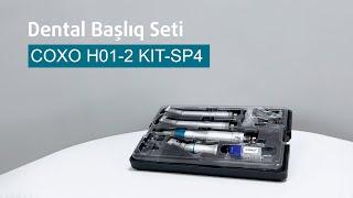 Dental Başlıq Seti, COXO H01-2 KIT-SP4 | inex-medical.az