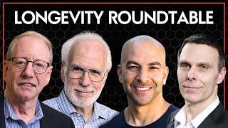 333 ‒ Longevity roundtable—the science of aging, geroprotective molecules, & lifestyle interventions