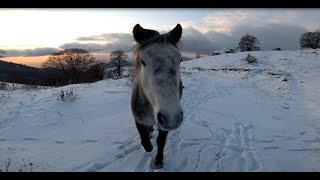 The beautiful Ponikva  in eastern Macedonia and the beautiful winter atmosphere