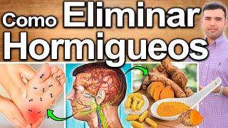 CÓMO ELIMINAR HORMIGUEOS Y ADORMECIMIENTOS - Regenera El Daño Nervioso