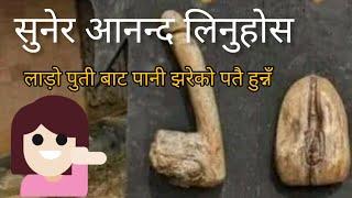 नेपाली छाडा भीडियो,imo xada video, voice of desh Bidesh,