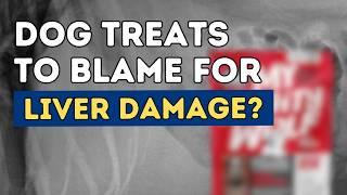 Veterinarian Warns: Dog Treats Causing Liver Damage! | Tula's Shocking Diagnosis Explained