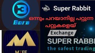 ഒന്നും പറയാനില്ല പറ്റുന്ന പറ്റുകളെയ് /MTFE/BORA/super rabbit/ott