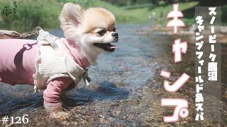 【犬キャンプ】オープンしたばかりのスノーピーク鹿沼さんがなにからなにまで最高でした【チワワ】