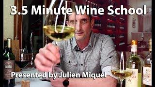 Julien's Wine School - Fun Learning!