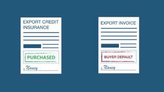 How it Works: EXIM Bank Export Credit Insurance