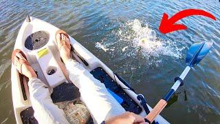 How to Find Fish at New Spots - Inshore Kayak Fishing New Waters