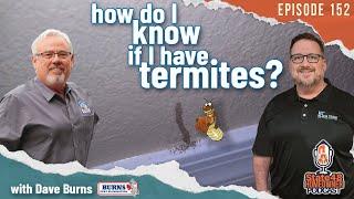 How Do I Know if I Have Termites? Arizona Termites, Termite Tubes