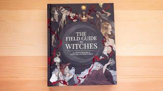 The Field Guide to Witches (book flip)