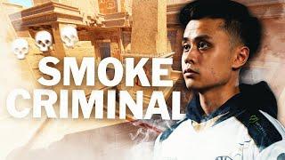 Stewie2K teaches YOU to be a SMOKE CRIMINAL