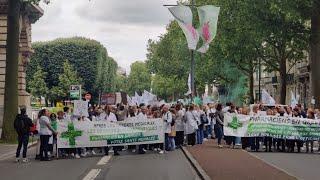 Grève des pharmaciens : la profession se mobilise pour alerter sur les "déserts pharmaceutiques"