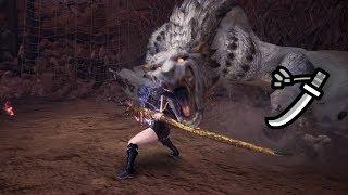 [MHW:I] Long Sword Barioth Solo 5'42''78 (No Trap, No Palico)