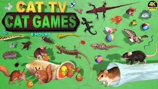 CAT TV | CAT GAMES OFFICIAL POPULAR VIDEOS BEST CLIPS & SPIKES COMPILATION FOR CATS TO WATCH 4K