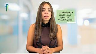 كيف يتم تحديد جنس الجنين خلال عملية اطفال الأنابيب؟