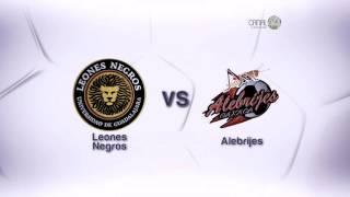 Promo | Leones Negros vs Alebrijes - TV Abierta