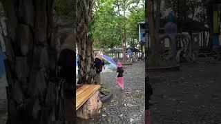 Ada yang tau ini hewan apa?? 