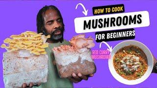 How To Cook Mushrooms For Beginners -  Part 1 Red Curry Mushrooms