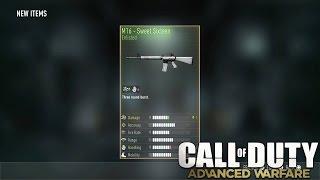 I Got The M16 + Weapon Armory Update (COD: Advanced Warfare)