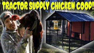 Tractor Supply Chicken Coop Build and Review!