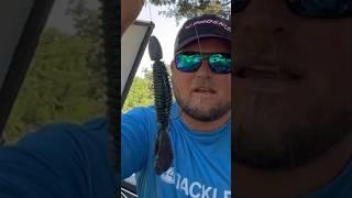 Catching Bass Out Of Heavy Cover #shorts_video #shortsfeed #shortsvideo